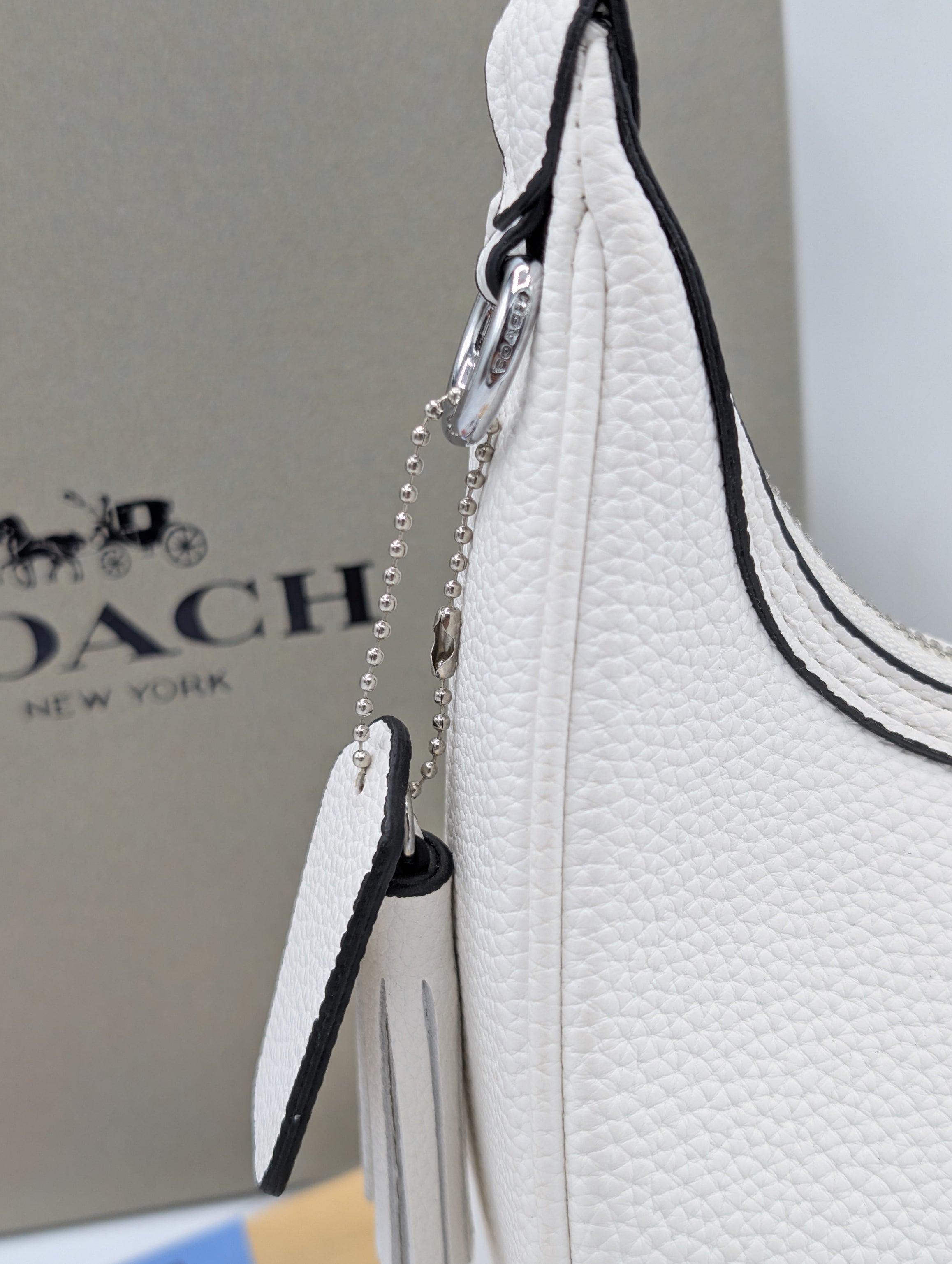 coach bailey hobo bag