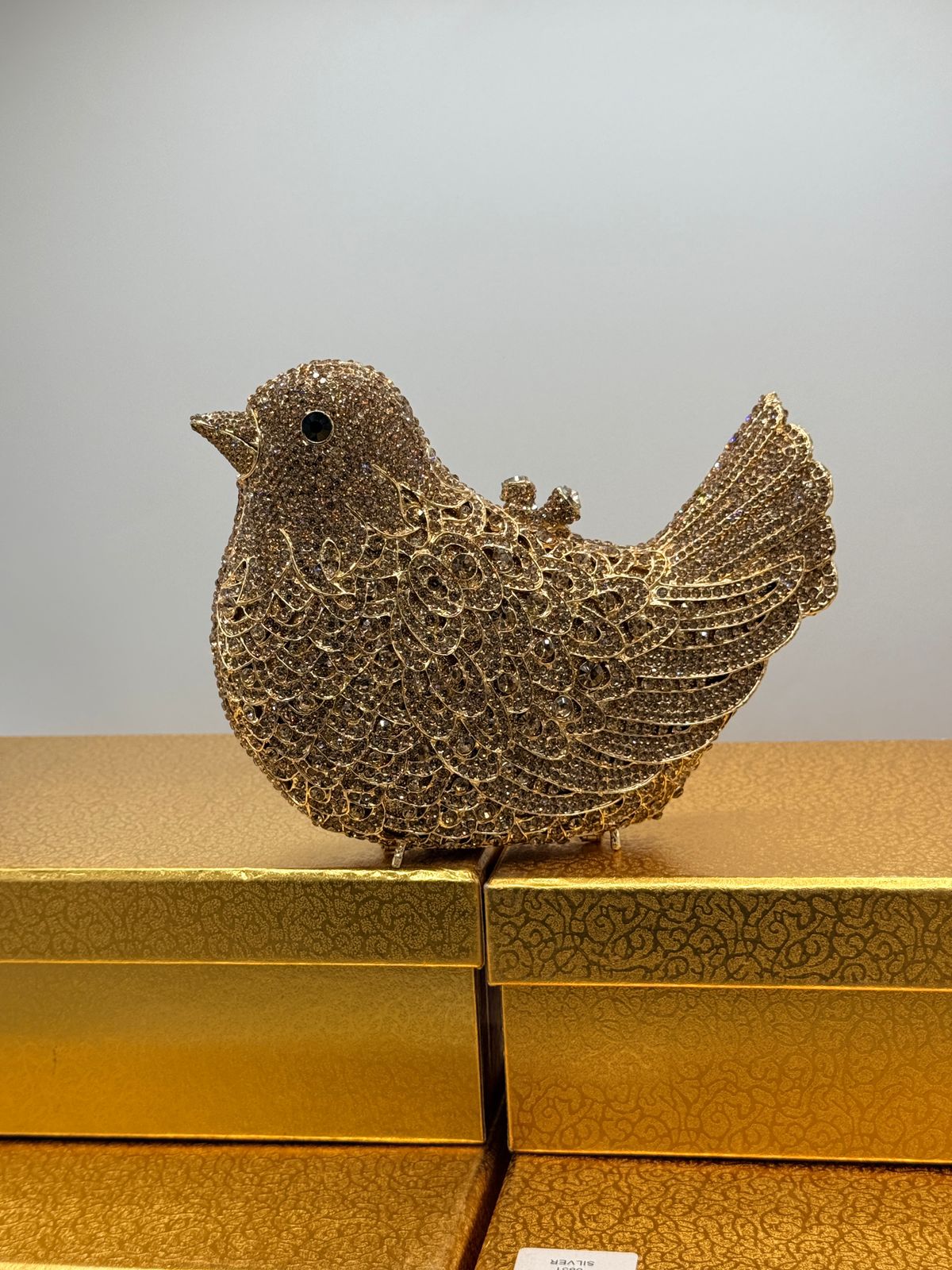 Glimmering Dove