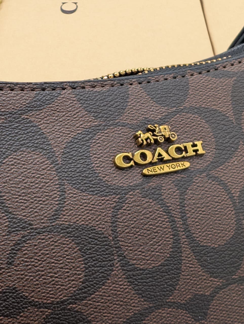 coach Teri