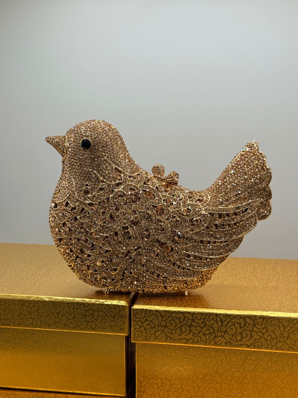 Glimmering Dove